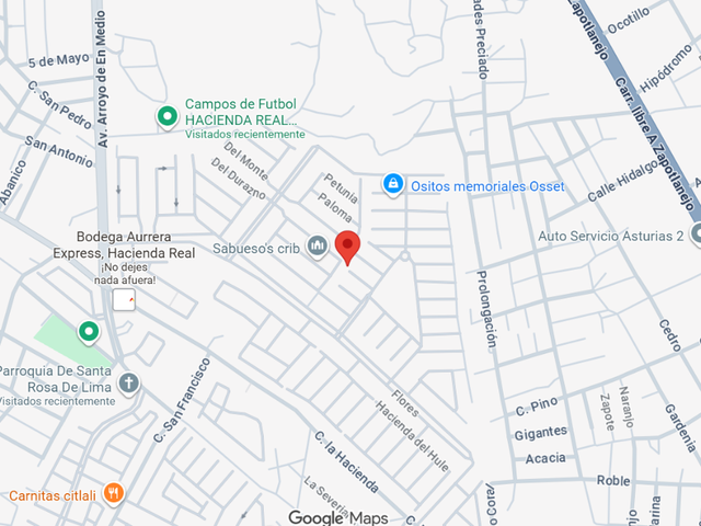 place photo 11
