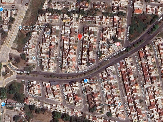 place photo 10