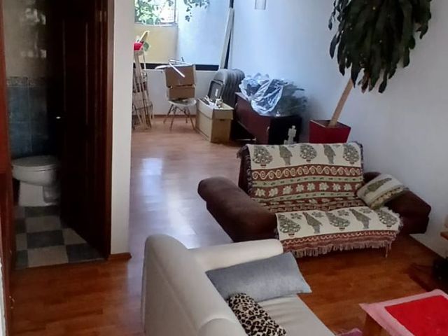 place photo 37