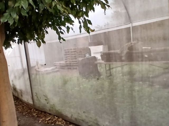 place photo 41