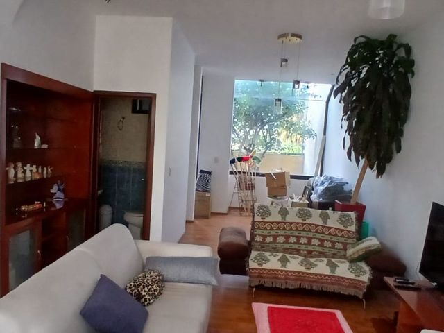 place photo 50