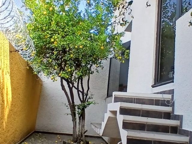 place photo 59