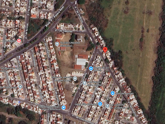 place photo 8