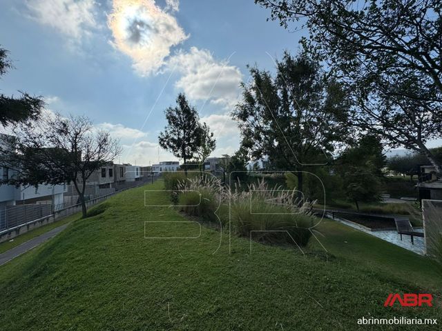 place photo 51