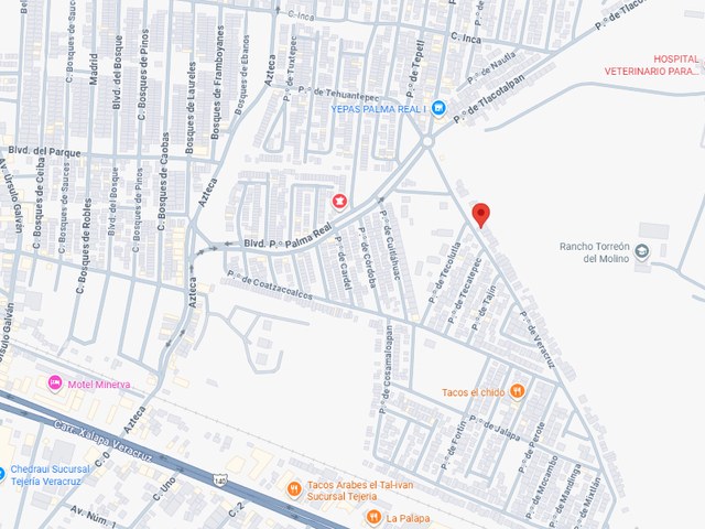 place photo 7