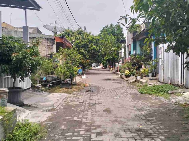 place photo 16