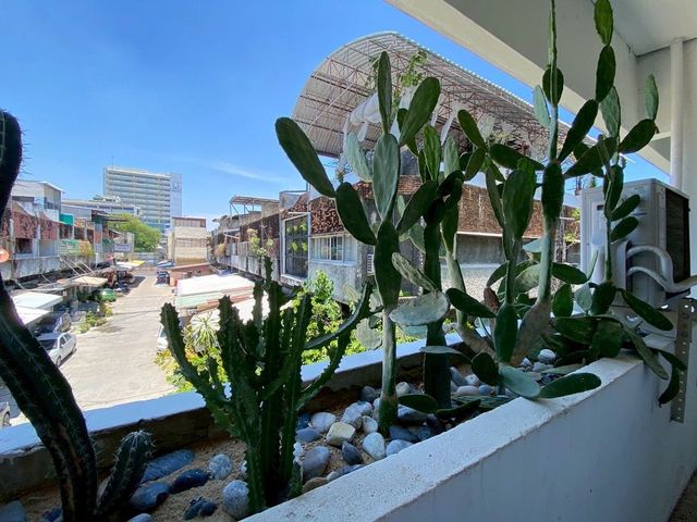 place photo 47
