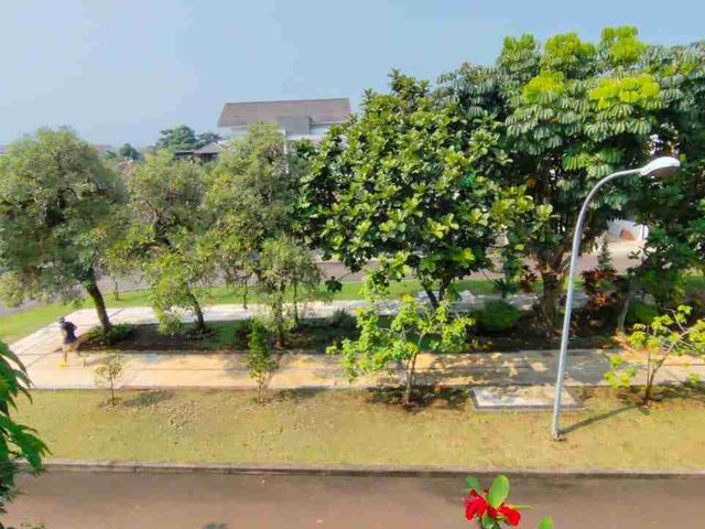 place photo 25