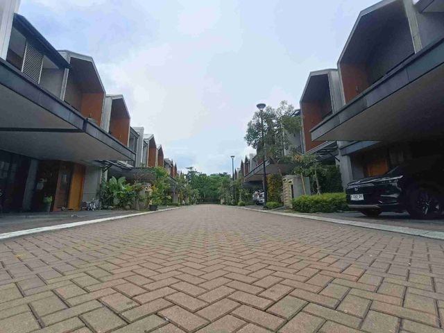 place photo 29