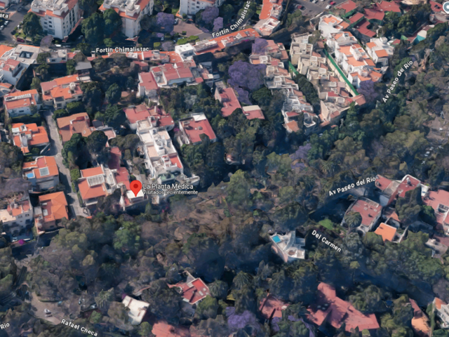place photo 22