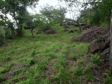 place photo 34