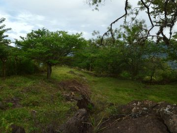 place photo 33