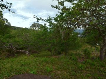 place photo 36