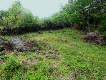 place photo 37