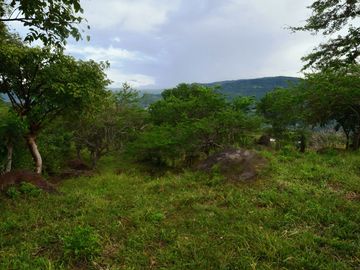 place photo 38