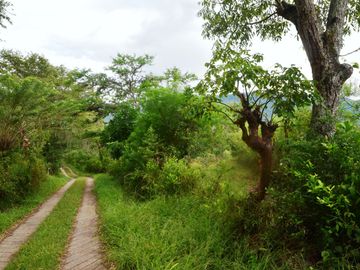 place photo 40