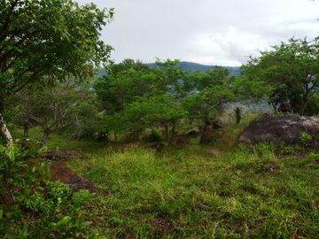 place photo 41