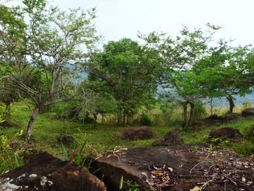 place photo 42