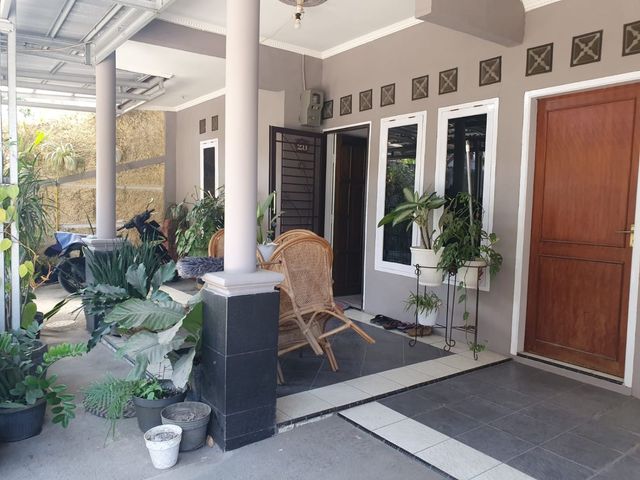 place photo 15