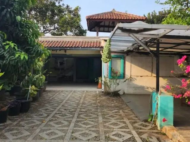 place photo 11