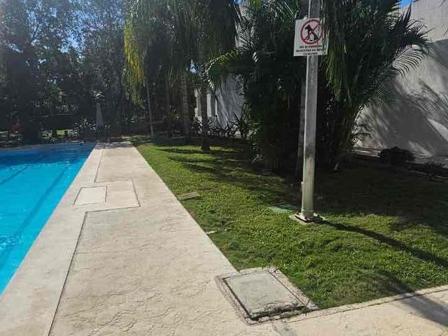 place photo 34