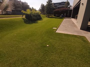 place photo 46