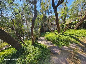 place photo 58