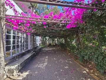 place photo 57