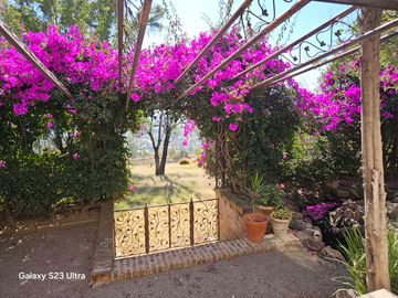 place photo 46