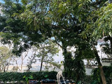 place photo 56