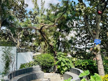 place photo 60