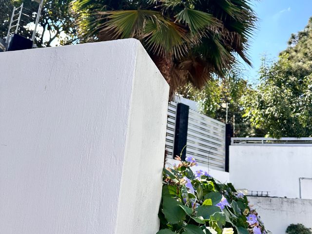 place photo 75