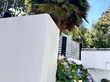 place photo 75