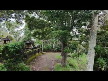 Dalang, Selemadeg Timur, TABANAN, Bali, Indonesia