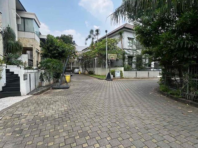 place photo 7