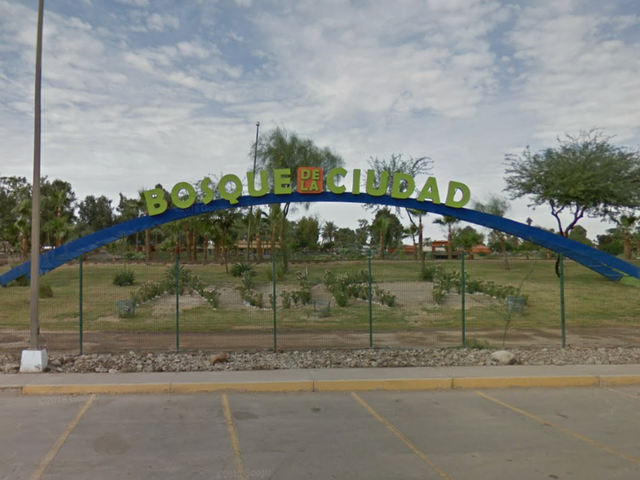 place photo 7