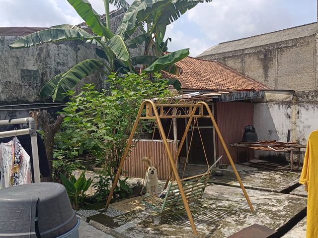 place photo 11