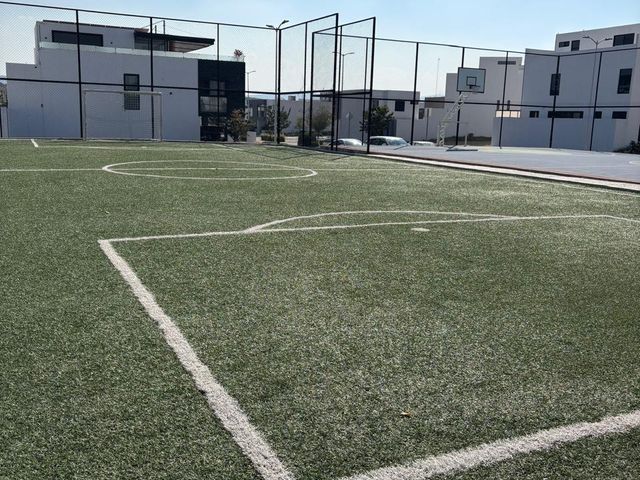 place photo 38