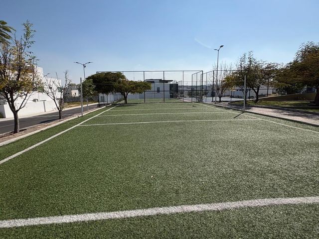 place photo 44