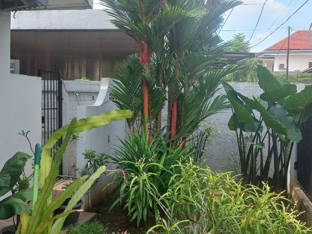 place photo 19