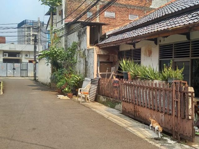 place photo 11