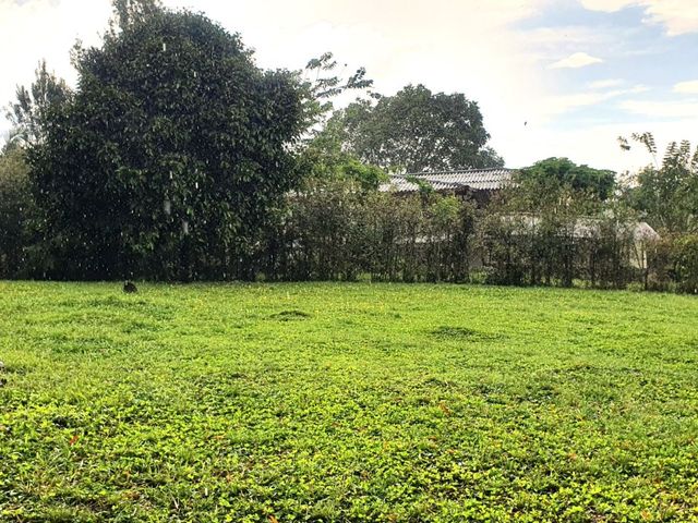 place photo 71