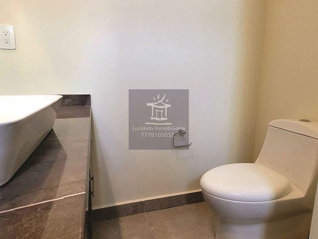 place photo 46