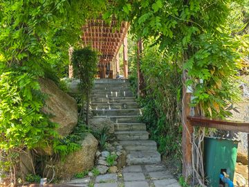 place photo 49