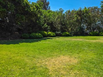 place photo 53
