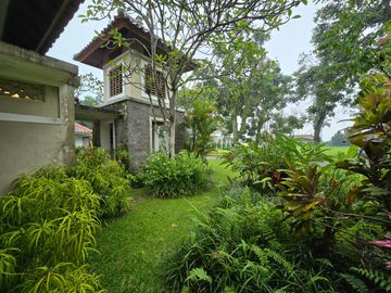 place photo 44