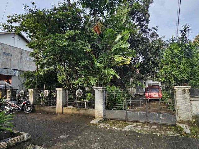 place photo 4