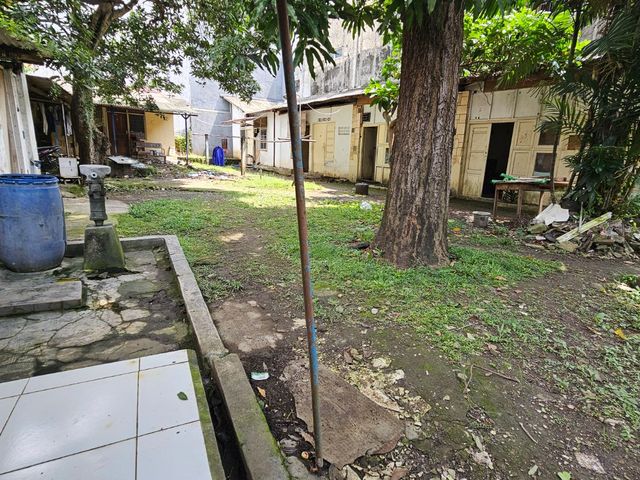 place photo 12