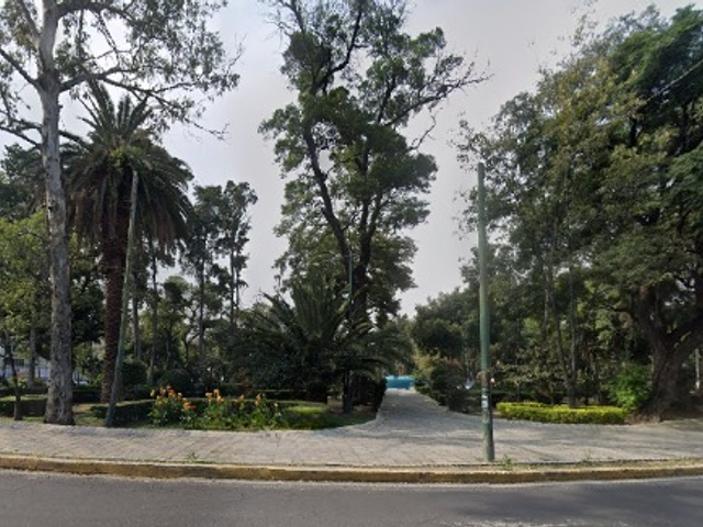 place photo 16
