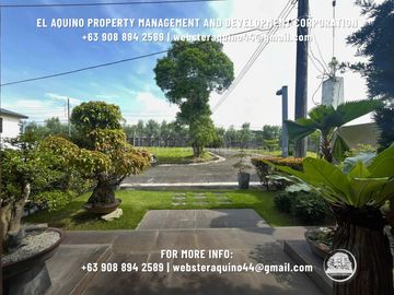 place photo 61